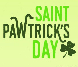 Saint Pawtrick's Day