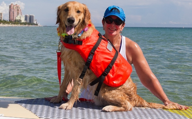 PawSUP & Surf Competition for Canine Companions for Independence