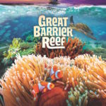 Great Barrier Reef Opening Weekend