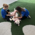 Pet Playdate Day Camp