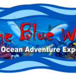 Blue Wild Ocean Adventure Expo