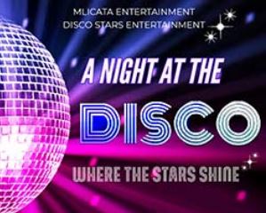 A Night at the Disco