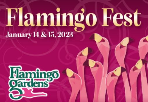 Flamingo Fest