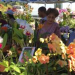 Bi-annual Orchid and Plant Festival