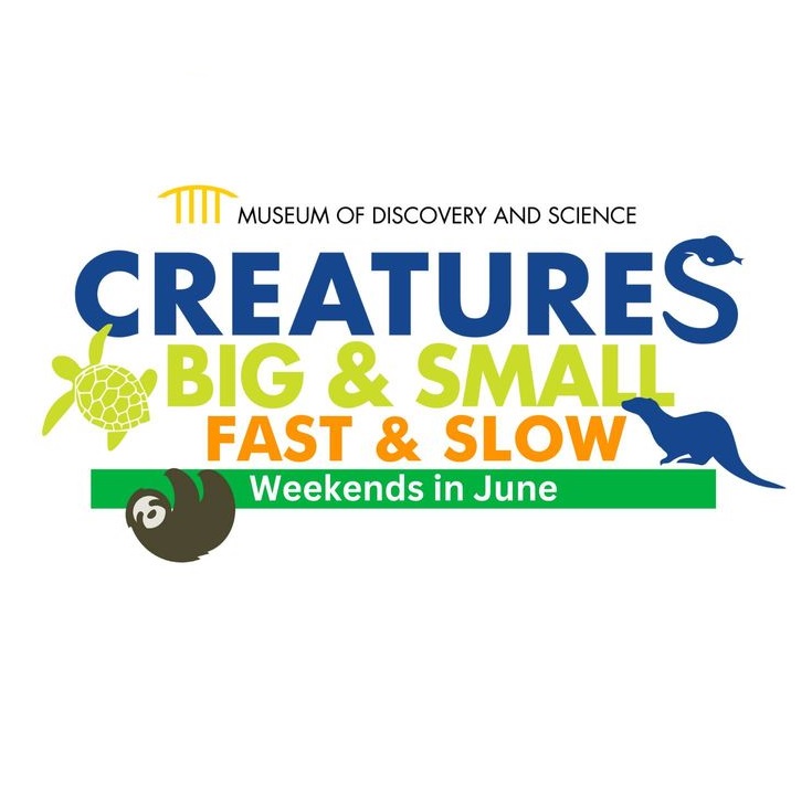 Creatures Big  Small, Fast & Slow Weekends