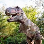 Dinosaurs Around the World - The Great Outdoors