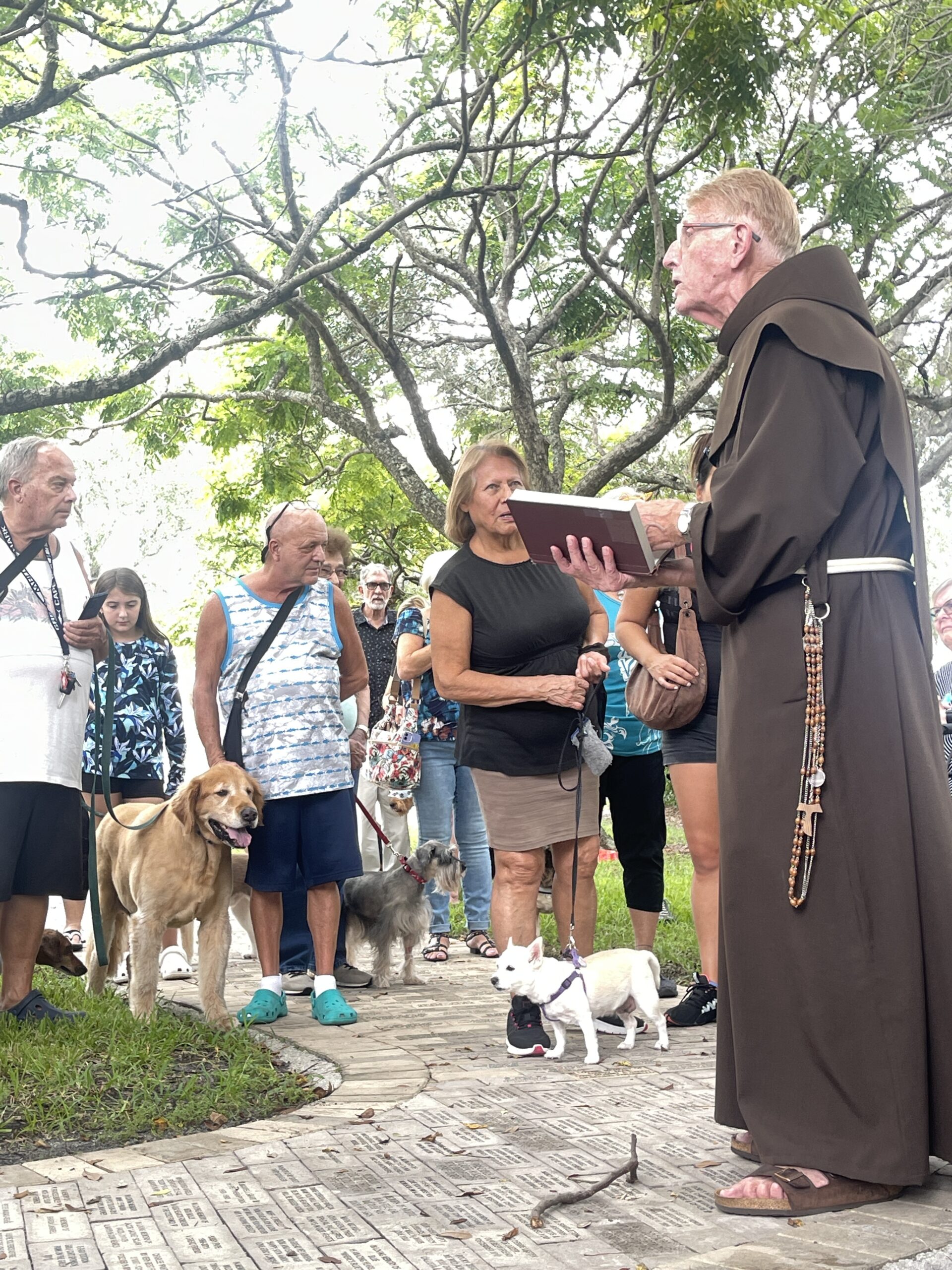 Blessing of All Creatures Great and Small!