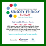 Sensory Friendly Sundays at Museum of Discovery and Science